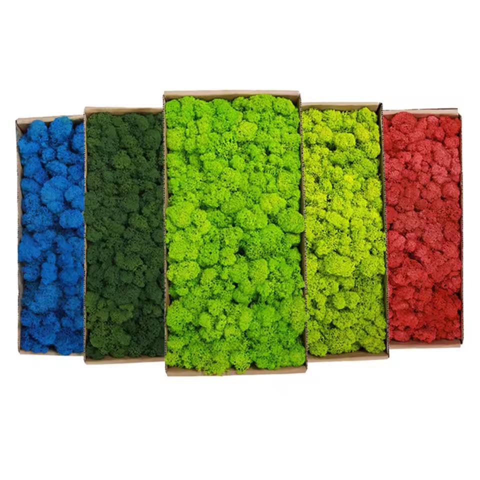 20-200g Artificial Green Plant - Sphagnum Moss Dry recension och pris