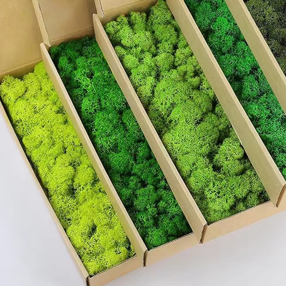 20-200g Artificial Green Plant - Sphagnum Moss Dry recension och pris
