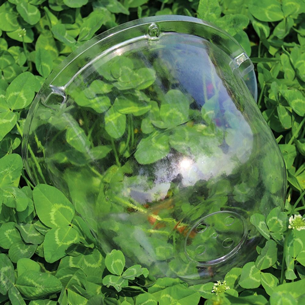 Reusable Clear Plastic Seedlin - Plastic Dome Clear recension och pris